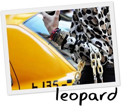 Trends Enciclopedia: Leopard