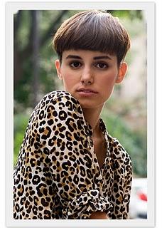 Trends Enciclopedia: Leopard