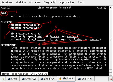 Man page di Wait(2) come compare a terminale