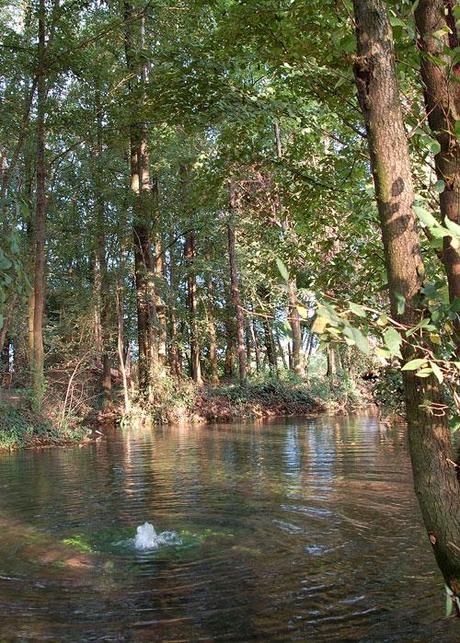 Acqua del rubinetto