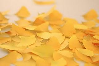 una foglia di Ginkgo come post-it