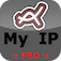 My Ip Address Pro (AppStore Link) 