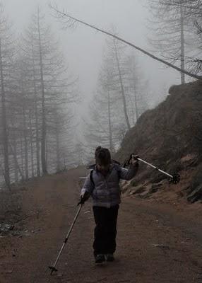 Un passo sei nella nebbia, quello dopo sei nel sole