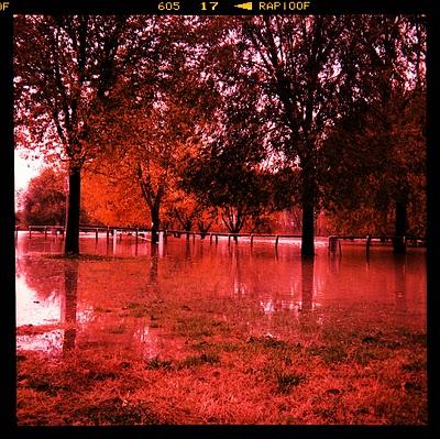 LOMOGRAPHY • C'è acqua su Marte: il fiume PO in piena fotografato con Fuji Astia 100F + cross-processing