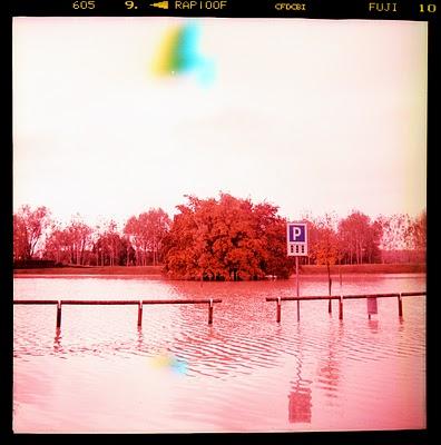 LOMOGRAPHY • C'è acqua su Marte: il fiume PO in piena fotografato con Fuji Astia 100F + cross-processing