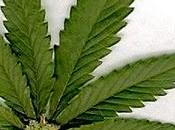 Italiani...brava gente?