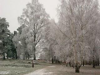 Immagini d'inverno