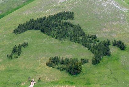 Festa dell'albero 2010, per rendere il nostro Paese più verde, più bello e più sicuro