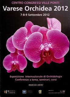 Le orchidee di Moroso (VA)-1°