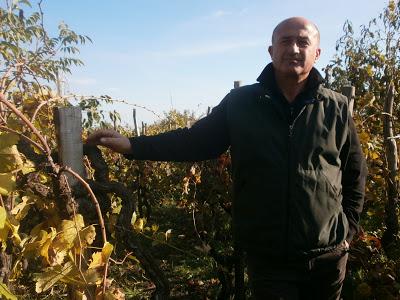 “…il vulcano in mezzo al mare sprofondava. E l’acqua con il fuoco si scontrava”. I nuovi vigneti di Carricante a Milo da cui nascerà l’Etna DOC Bianco Superiore A’ Puddara di Tenuta di Fessina