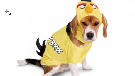 Angry-Birds-Yellow-Bird-Pet-Costume