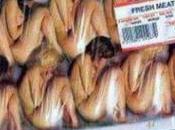 #25nov Lettera sorella schiava della tratta