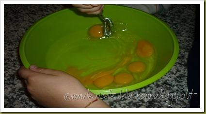 Torta di cacao e noci con zucchero di canna (1)