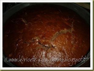 Torta di cacao e noci con zucchero di canna (10)