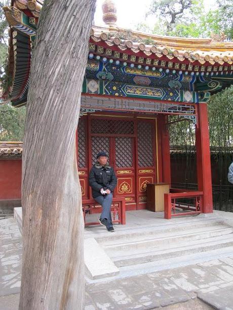 The forbidden city