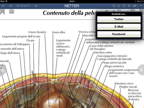 Netter per iPad