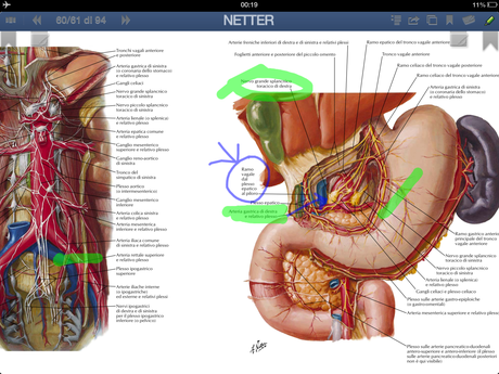 Netter per iPad