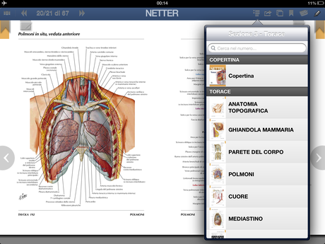 Netter per iPad Netter per iPad