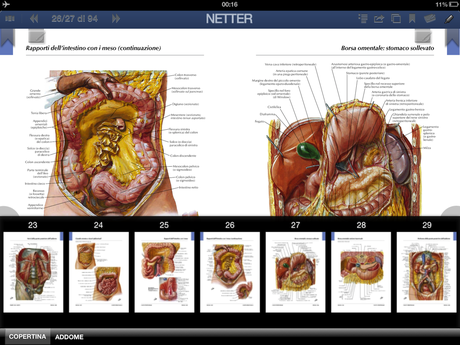 Netter per iPad Netter per iPad