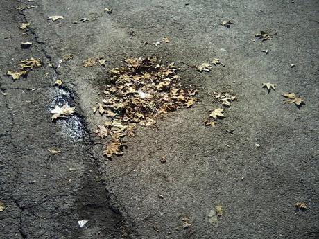 Un po' di foto in allegria dal VI Municipio per far partire la settimana con più sprint