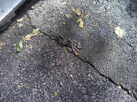 Un po' di foto in allegria dal VI Municipio per far partire la settimana con più sprint