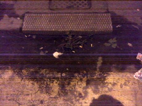 Un po' di foto in allegria dal VI Municipio per far partire la settimana con più sprint