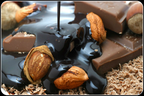 “Il Cioccolato che Fa Bene!”  di  Wolfe e Shazzie - Segreti, Curiosità e Storia del Cacao