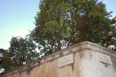 La mia città invisibile.