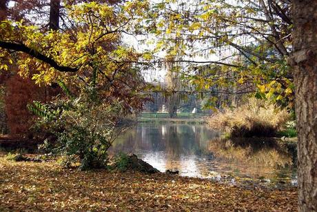 Autumn in Milan