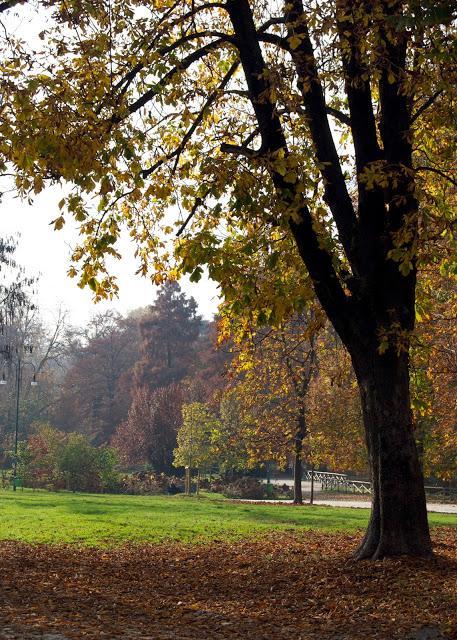 Autumn in Milan