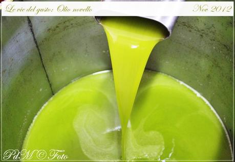 Le vie del gusto: Castelvetrano e il suo oro, l’olio extra vergine d’oliva