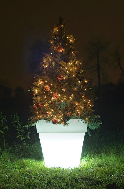 Vaso luminoso per albero di Natale