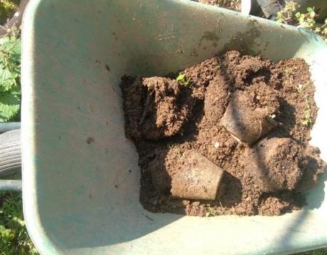 LA LUNA E I LAVORI DI DICEMBRE NELL’ORTO, FRUTTETO E GIARDINO