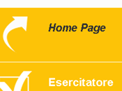 Prove preselettive concorso docenti, esercitatore online