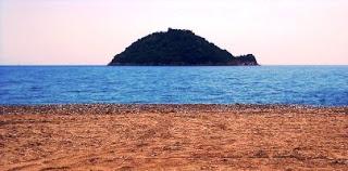 ALBENGA & IL CARCIOFO VIOLETTO ...