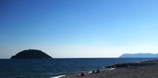 ALBENGA & IL CARCIOFO VIOLETTO ...