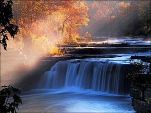 Oroscopo green dal 28 Novembre al 4 dicembre: segni d’acqua alla riscossa!