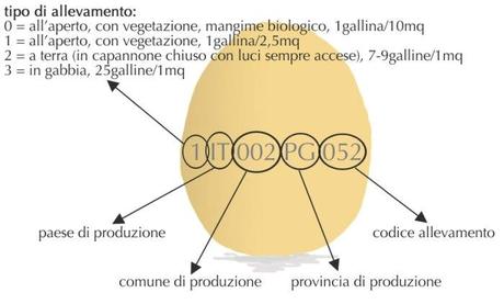 Uova biologiche come riconoscerle?