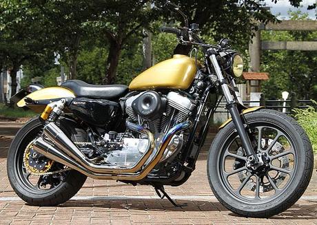 Harley XL 883 2008 by Tramp