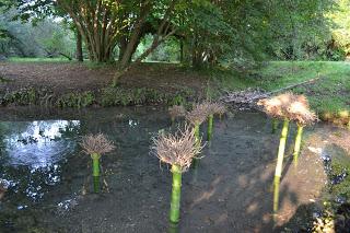 HUMUS PARK, LAND ART