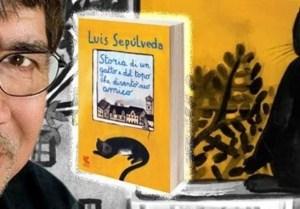 L’amicizia è una cosa rara