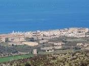 Pillole: Riparte l'idroscalo Lago Varano? libro sullo spiaggiamento capodogli capojale