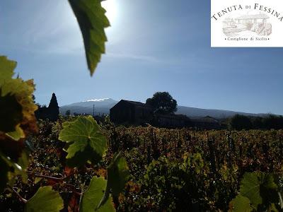 Andamento dell’annata 2012 sull’Etna. Note di Federico Curtaz sui vini di Tenuta di Fessina