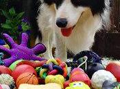 "Fido, portami palla!", ovvero come cani apprendono nomi delle cose