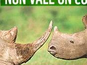 Rinoceronti estinzione Sostieni progetto vita vale corno"