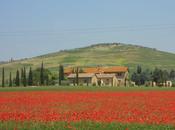 Renzi regioni rosse