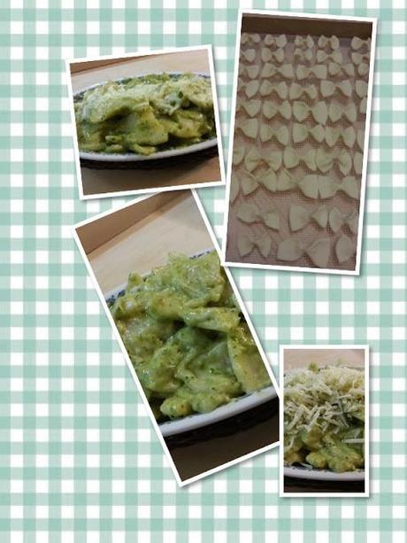 farfalle  gratinate con pesto e besciamella