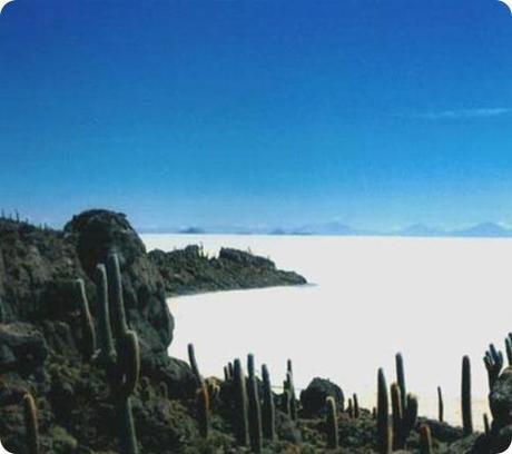 uyuni isla del pescado