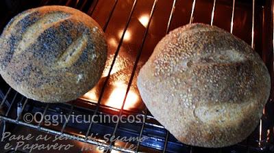 Pane semi-integrale con sesamo e semi di papavero