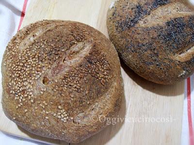 Pane semi-integrale con sesamo e semi di papavero